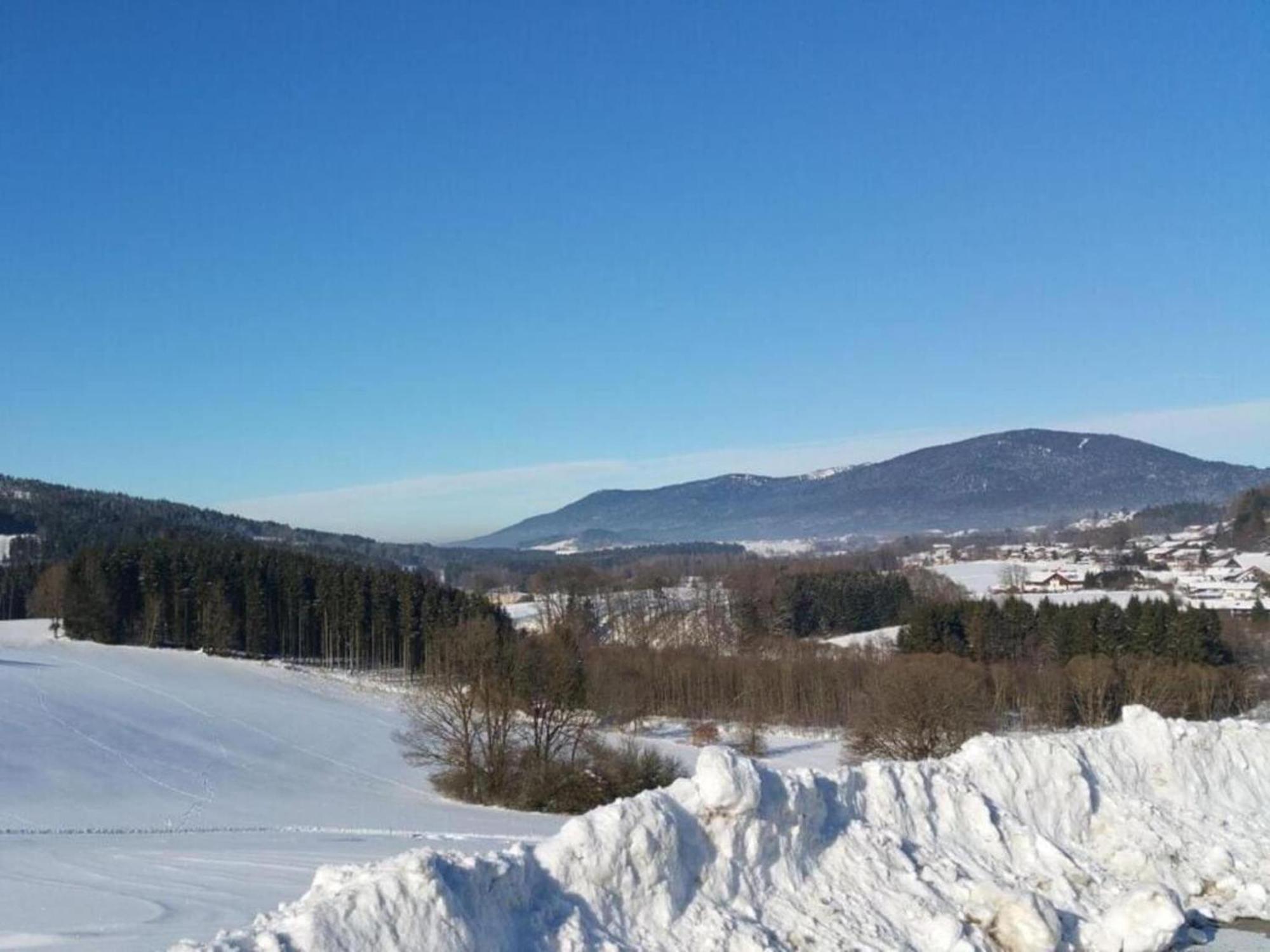 Apartment In The Bavarian Forest With Balcony Drachselsried Bagian luar foto