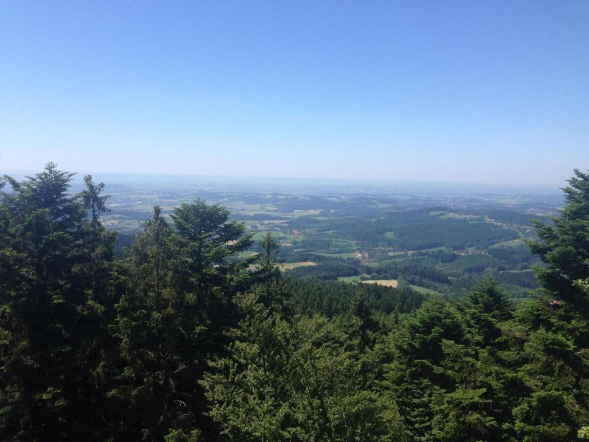 Apartment In The Bavarian Forest With Balcony Drachselsried Bagian luar foto